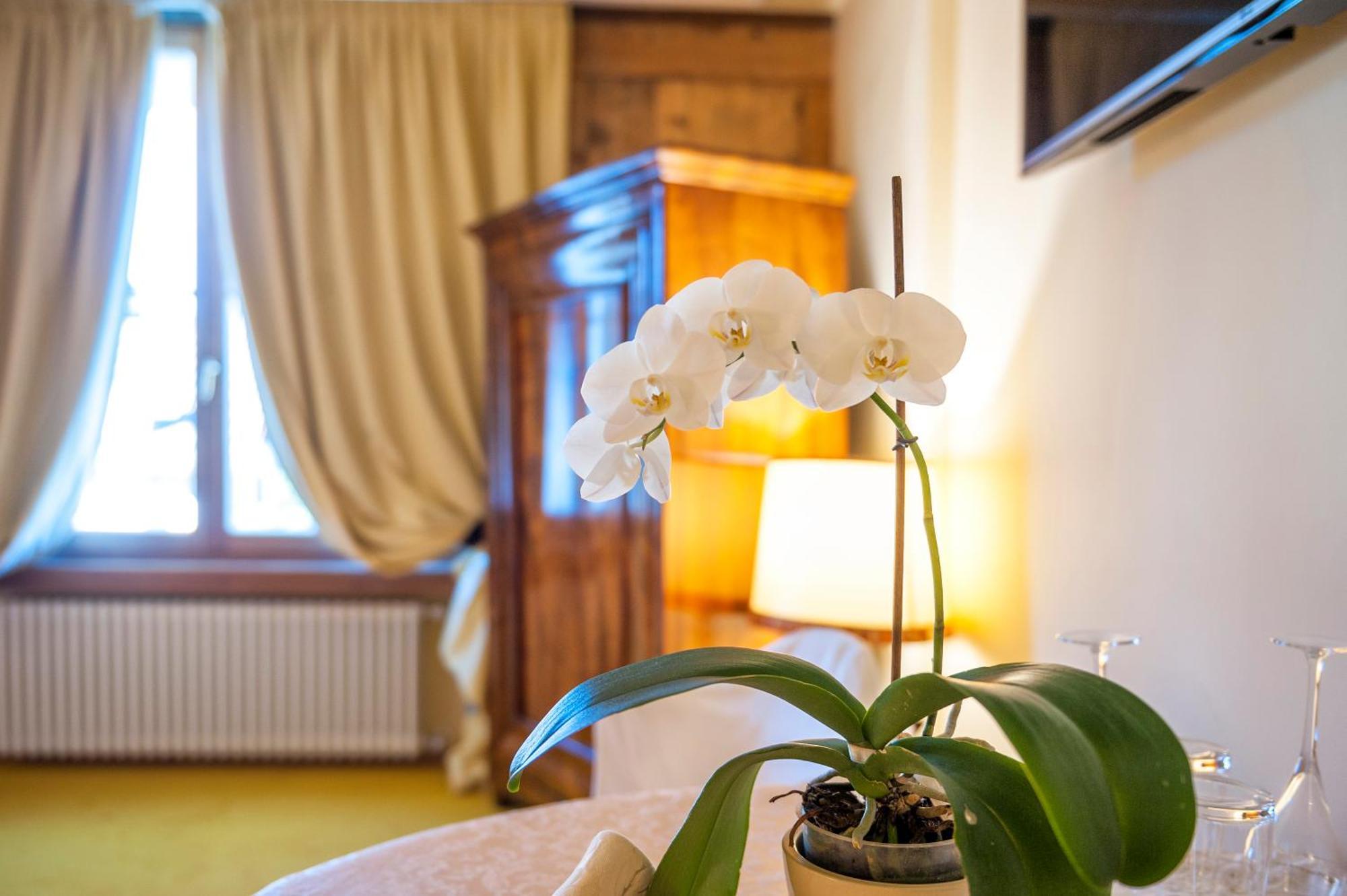 Villa Orso Grigio Ronzone Exteriér fotografie
